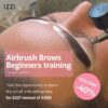 Airbrush Brows Online Training