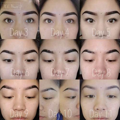 powder brows genezing