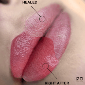 Healed lip blush